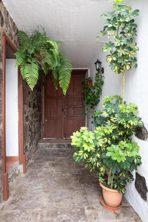 Casa Canaria Acero Garachico  Bagian luar foto