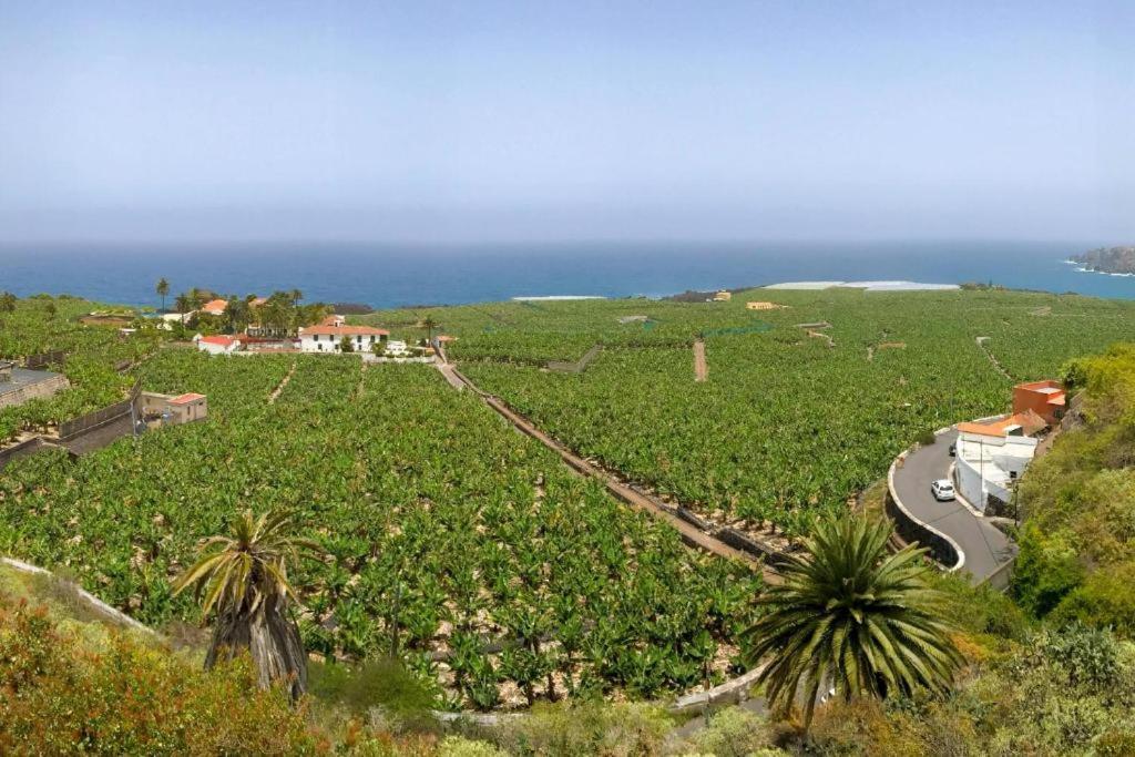 Casa Canaria Acero Garachico  Bagian luar foto